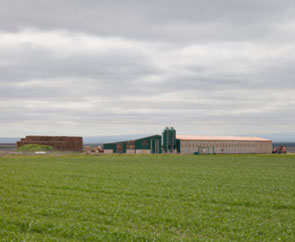 Vista exterior granja